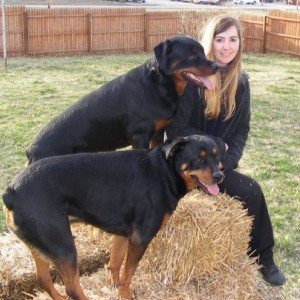 My Rottweilers and I