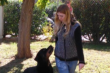 5 Simple Ways to Get Your Dog to Pay Attention